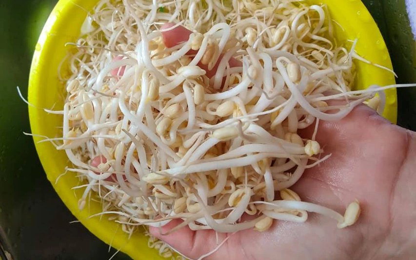 4 loại rau nằm trong "danh s&aacute;ch cấm" của l&aacute; gan, ăn c&agrave;ng nhiều PH&Aacute; GAN c&agrave;ng nhanh!- Ảnh 1.