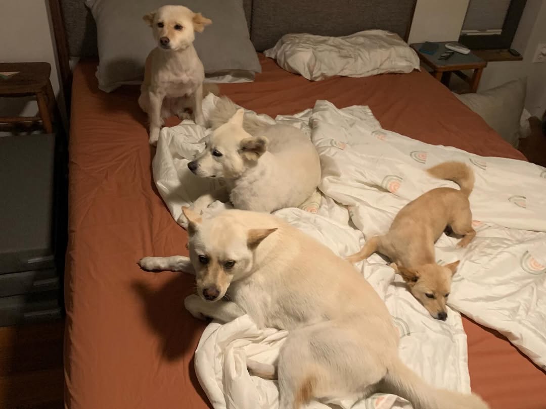 Lee Hyori đ&atilde; l&agrave;m g&igrave; m&agrave; bị d&acirc;n mạng tấn c&ocirc;ng?- Ảnh 2.