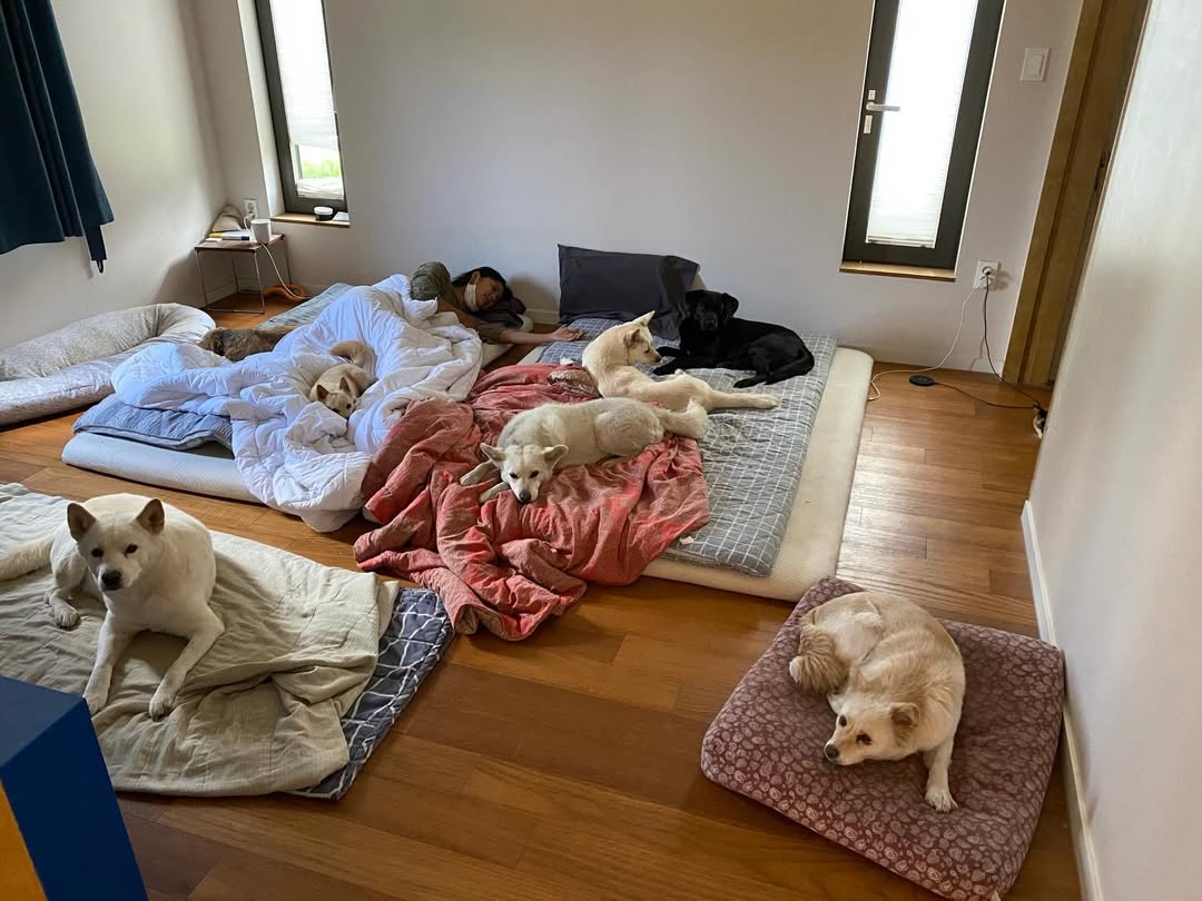 Lee Hyori đ&atilde; l&agrave;m g&igrave; m&agrave; bị d&acirc;n mạng tấn c&ocirc;ng?- Ảnh 1.