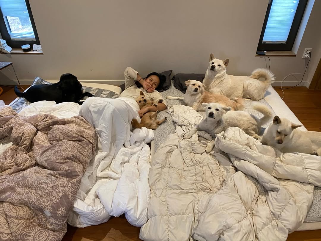 Lee Hyori đ&atilde; l&agrave;m g&igrave; m&agrave; bị d&acirc;n mạng tấn c&ocirc;ng?- Ảnh 3.