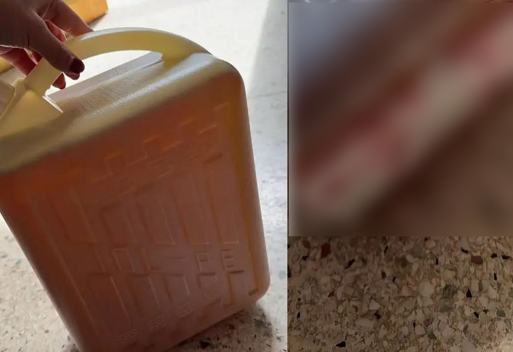 B&iacute; mật giấu b&ecirc;n dưới can dầu ăn mẹ gửi cho con g&aacute;i khiến h&agrave;ng ngh&igrave;n người kh&oacute;c: Kể cả l&agrave; d&agrave;n dựng th&igrave; cũng qu&aacute; x&uacute;c động!- Ảnh 1.