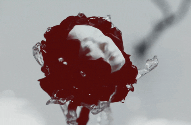 Ảnh n&oacute;ng của Minh Hằng - T&oacute;c Ti&ecirc;n- Ảnh 3.