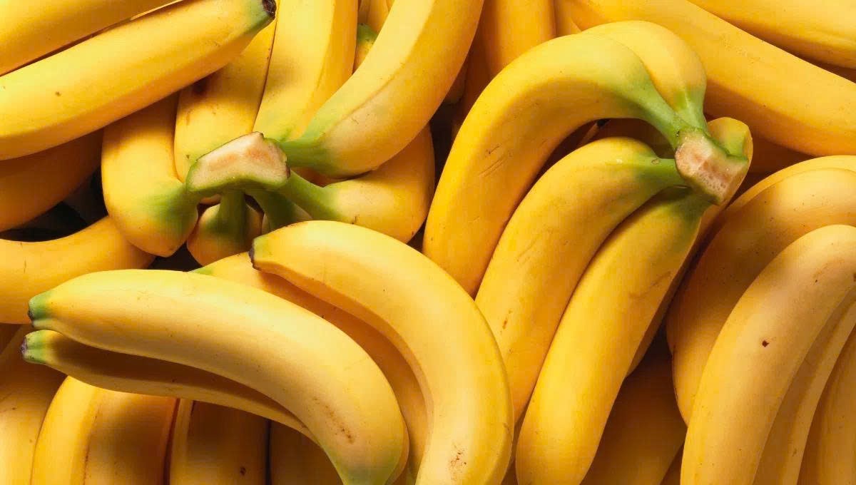 "Vua tr&aacute;i c&acirc;y" ti&ecirc;u thụ nhiều nhất thế giới: Trồng bạt ng&agrave;n ở Đồng Nai, m&ugrave;a n&agrave;o cũng sẵn, gi&aacute; chưa tới 10.000đ/quả- Ảnh 1.