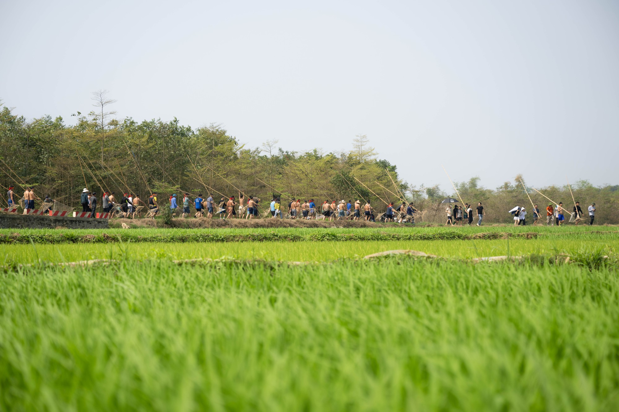 3 năm mới c&oacute; 1 lần, h&agrave;ng trăm trai l&agrave;ng xứ Đo&agrave;i đồng loạt dập s&agrave;o, c&aacute; quẫy trắng cả kh&uacute;c s&ocirc;ng- Ảnh 9.
