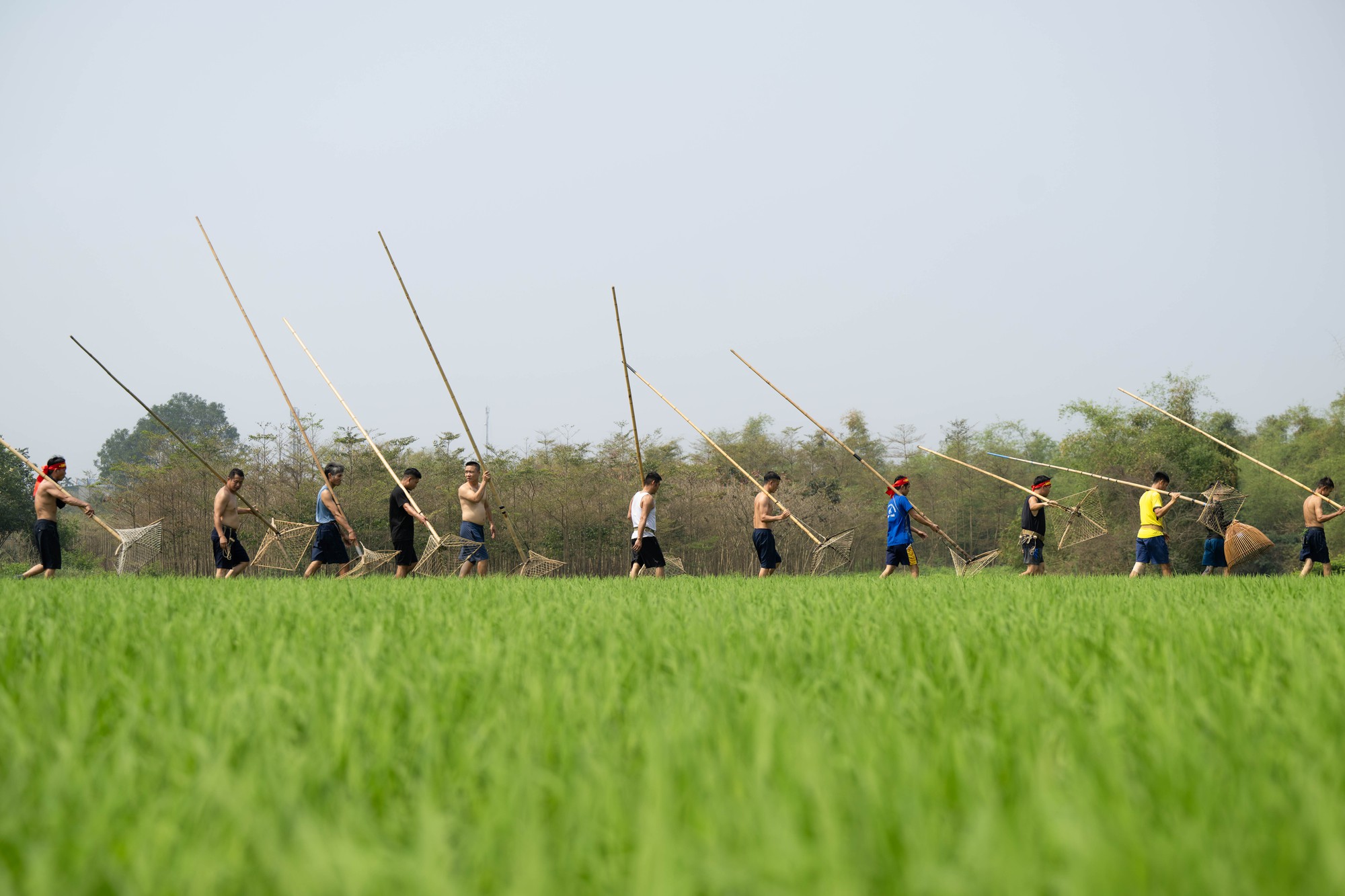 3 năm mới c&oacute; 1 lần, h&agrave;ng trăm trai l&agrave;ng xứ Đo&agrave;i đồng loạt dập s&agrave;o, c&aacute; quẫy trắng cả kh&uacute;c s&ocirc;ng- Ảnh 7.