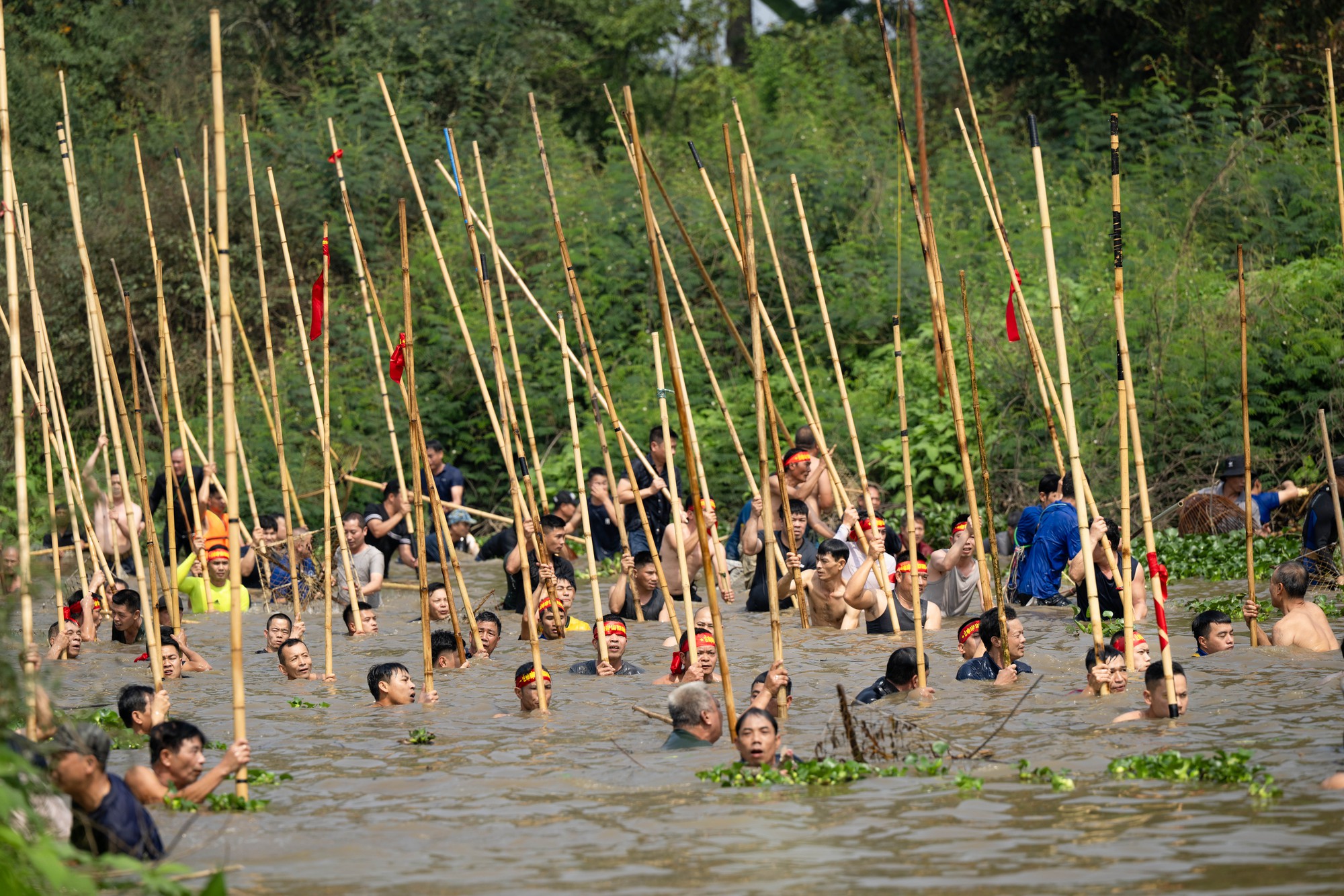 3 năm mới c&oacute; 1 lần, h&agrave;ng trăm trai l&agrave;ng xứ Đo&agrave;i đồng loạt dập s&agrave;o, c&aacute; quẫy trắng cả kh&uacute;c s&ocirc;ng- Ảnh 15.