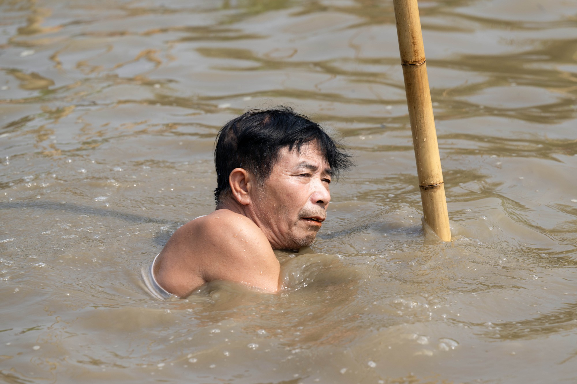 3 năm mới c&oacute; 1 lần, h&agrave;ng trăm trai l&agrave;ng xứ Đo&agrave;i đồng loạt dập s&agrave;o, c&aacute; quẫy trắng cả kh&uacute;c s&ocirc;ng- Ảnh 13.