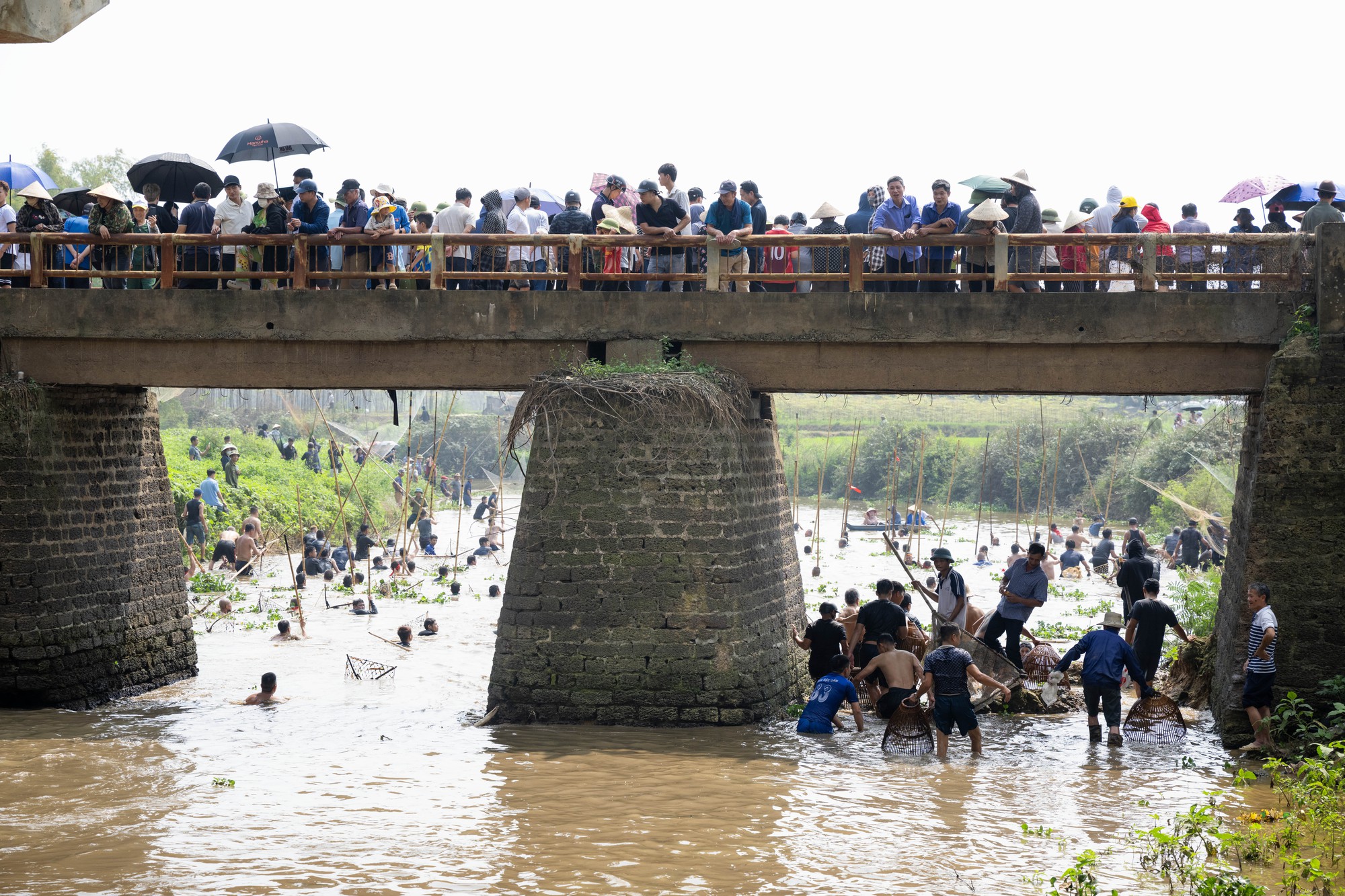 3 năm mới c&oacute; 1 lần, h&agrave;ng trăm trai l&agrave;ng xứ Đo&agrave;i đồng loạt dập s&agrave;o, c&aacute; quẫy trắng cả kh&uacute;c s&ocirc;ng- Ảnh 18.