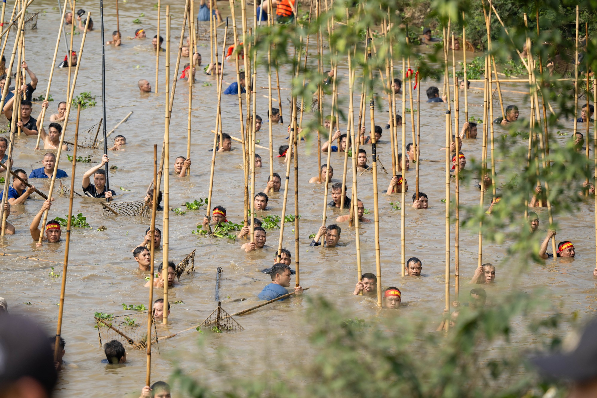3 năm mới c&oacute; 1 lần, h&agrave;ng trăm trai l&agrave;ng xứ Đo&agrave;i đồng loạt dập s&agrave;o, c&aacute; quẫy trắng cả kh&uacute;c s&ocirc;ng- Ảnh 16.