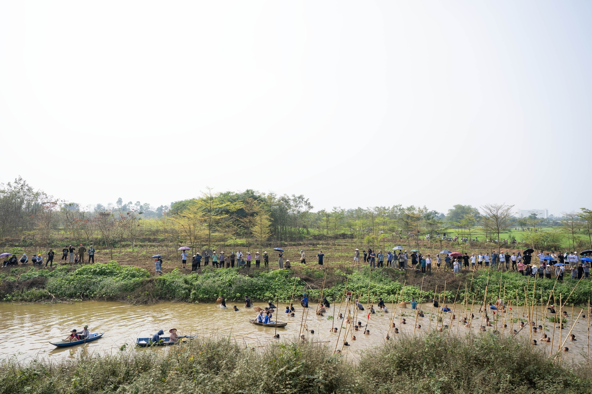 3 năm mới c&oacute; 1 lần, h&agrave;ng trăm trai l&agrave;ng xứ Đo&agrave;i đồng loạt dập s&agrave;o, c&aacute; quẫy trắng cả kh&uacute;c s&ocirc;ng- Ảnh 19.