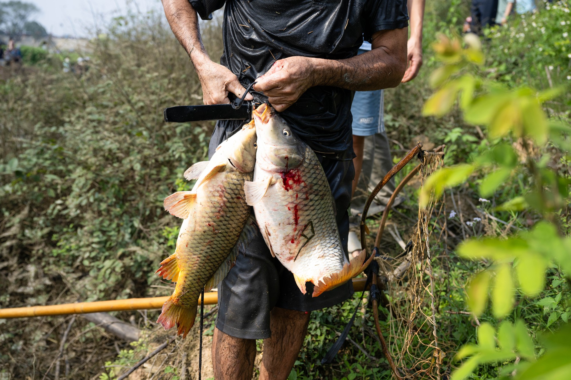 3 năm mới c&oacute; 1 lần, h&agrave;ng trăm trai l&agrave;ng xứ Đo&agrave;i đồng loạt dập s&agrave;o, c&aacute; quẫy trắng cả kh&uacute;c s&ocirc;ng- Ảnh 22.