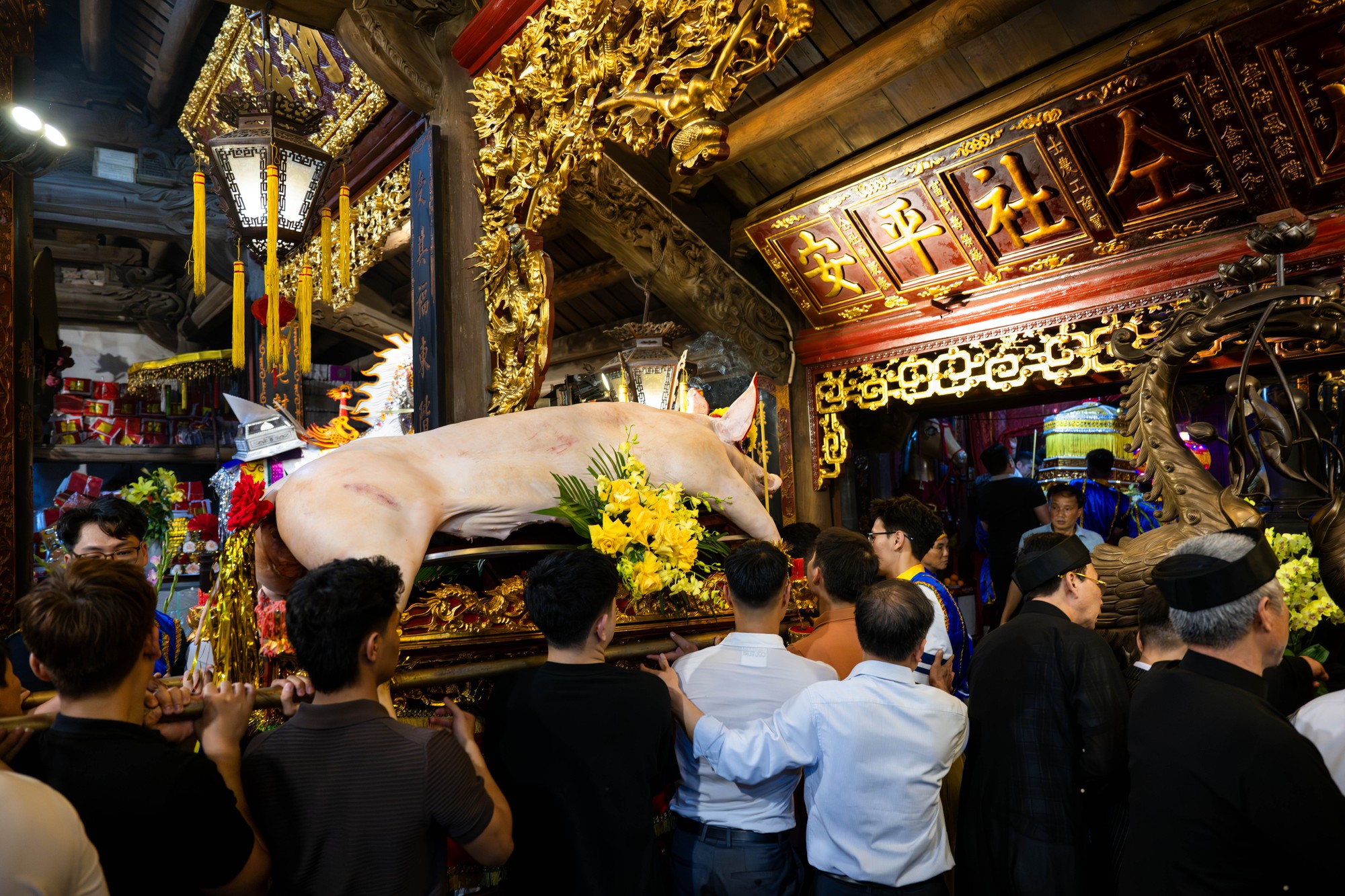 Cả làng La Phù thức trắng vì 17 “ông lợn”: Lợn ăn trứng, ngủ màn, mùa đông sưởi than để chờ giờ rước đình- Ảnh 15. Cả làng La Phù thức trắng vì 17 “ông lợn”: Lợn ăn trứng, ngủ màn, mùa đông sưởi than để chờ giờ rước đình- Ảnh 15.