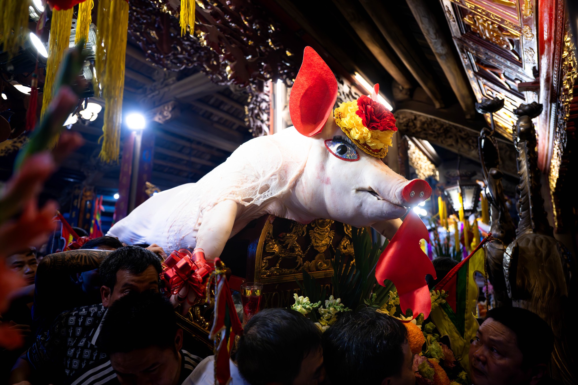 Cả làng La Phù thức trắng vì 17 “ông lợn”: Lợn ăn trứng, ngủ màn, mùa đông sưởi than để chờ giờ rước đình- Ảnh 17. Cả làng La Phù thức trắng vì 17 “ông lợn”: Lợn ăn trứng, ngủ màn, mùa đông sưởi than để chờ giờ rước đình- Ảnh 17.