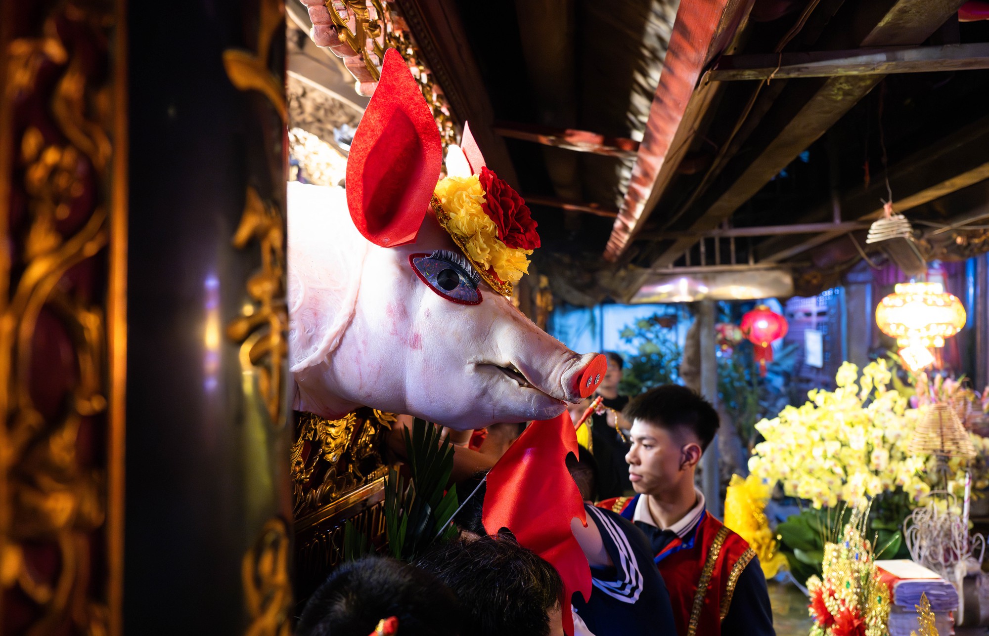 Cả làng La Phù thức trắng vì 17 “ông lợn”: Lợn ăn trứng, ngủ màn, mùa đông sưởi than để chờ giờ rước đình- Ảnh 19. Cả làng La Phù thức trắng vì 17 “ông lợn”: Lợn ăn trứng, ngủ màn, mùa đông sưởi than để chờ giờ rước đình- Ảnh 19.