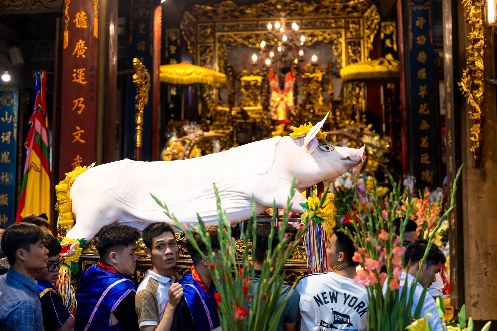 Cả làng La Phù thức trắng vì 17 “ông lợn”: Lợn ăn trứng, ngủ màn, mùa đông sưởi than để chờ giờ rước đình- Ảnh 18. Cả làng La Phù thức trắng vì 17 “ông lợn”: Lợn ăn trứng, ngủ màn, mùa đông sưởi than để chờ giờ rước đình- Ảnh 18.