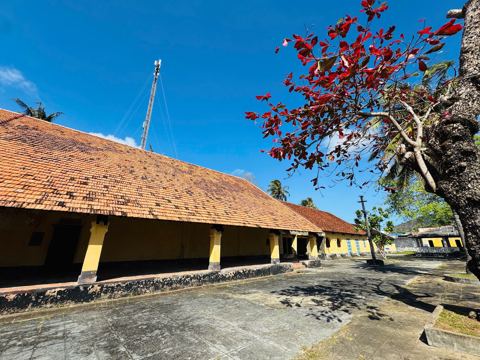 H&igrave;nh ảnh C&ocirc;n Đảo v&agrave;o "m&ugrave;a đẹp nhất năm"- Ảnh 5.