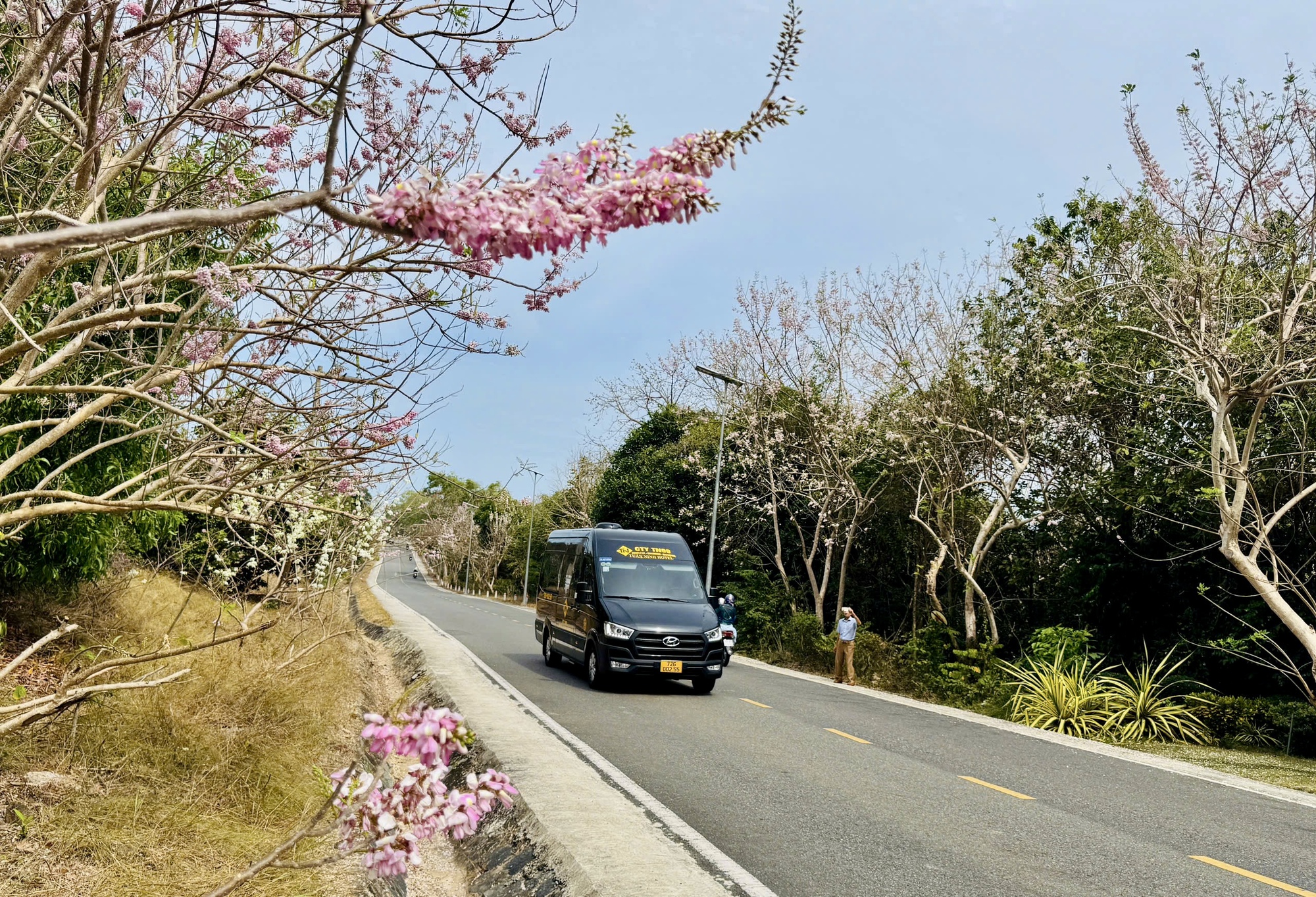 H&igrave;nh ảnh C&ocirc;n Đảo v&agrave;o "m&ugrave;a đẹp nhất năm"- Ảnh 8.