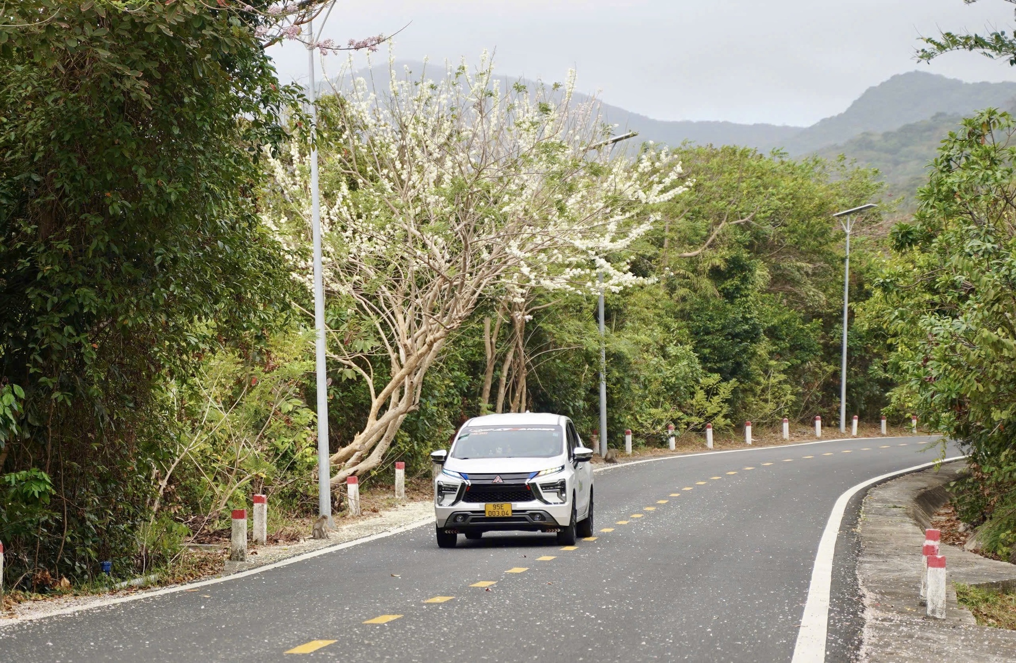 H&igrave;nh ảnh C&ocirc;n Đảo v&agrave;o "m&ugrave;a đẹp nhất năm"- Ảnh 9.