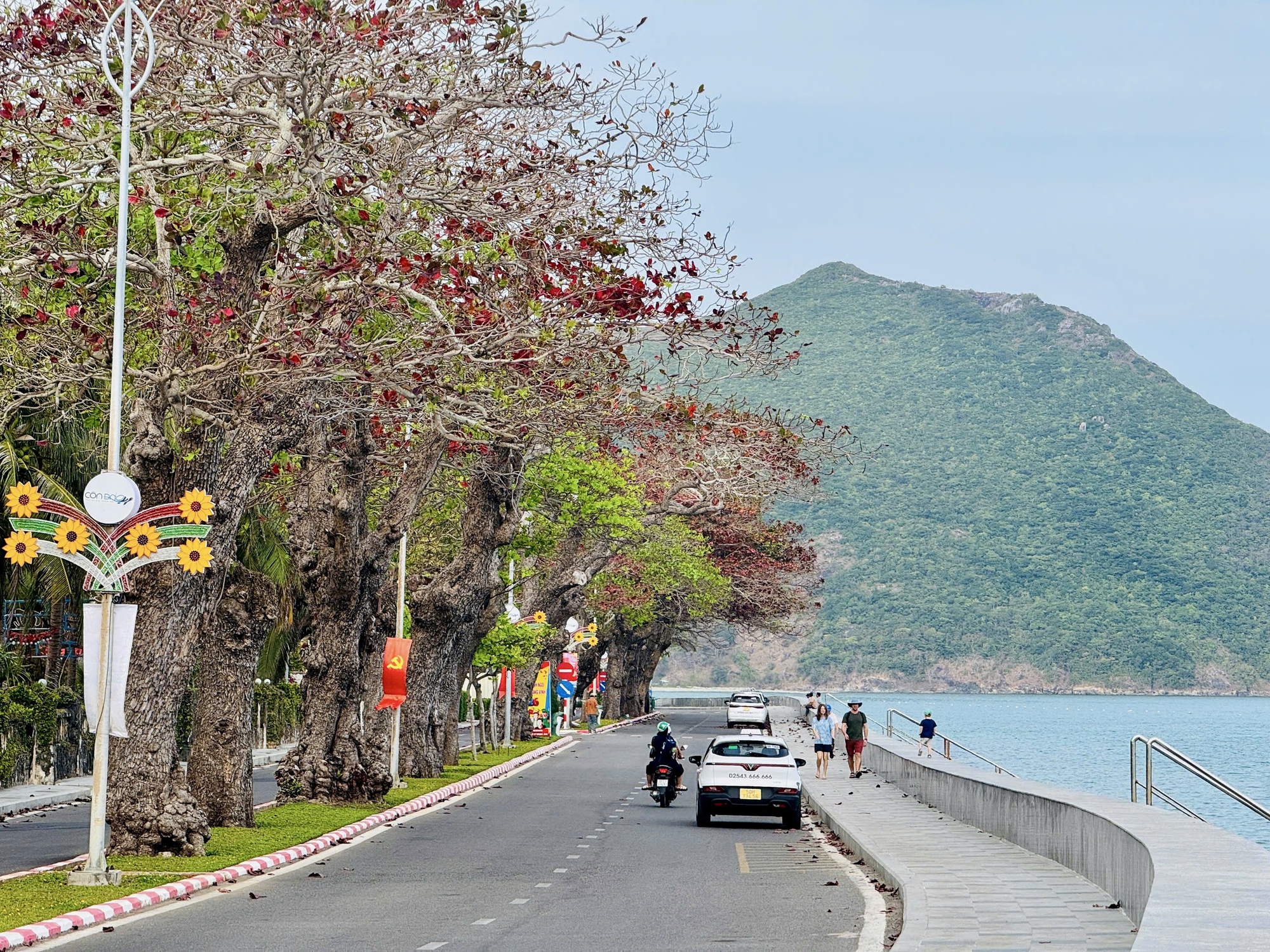 H&igrave;nh ảnh C&ocirc;n Đảo v&agrave;o "m&ugrave;a đẹp nhất năm"- Ảnh 2.