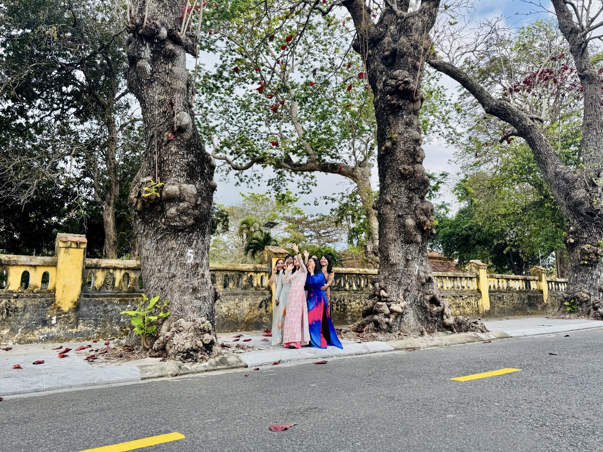 H&igrave;nh ảnh C&ocirc;n Đảo v&agrave;o "m&ugrave;a đẹp nhất năm"- Ảnh 6.