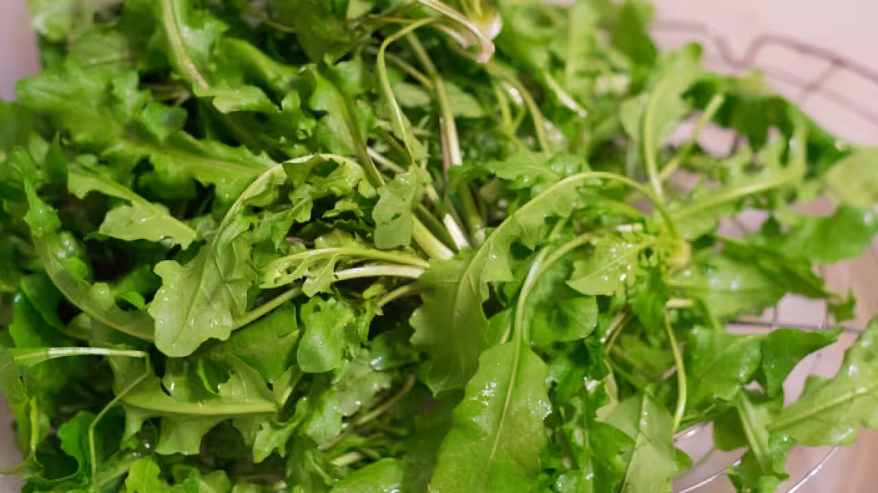 5 loại rau rẻ b&egrave;o gi&uacute;p k&iacute;ch th&iacute;ch mọc t&oacute;c, bồi bổ gan lại l&agrave;m đẹp da mặt, chợ Việt n&agrave;o cũng c&oacute; b&aacute;n- Ảnh 4.