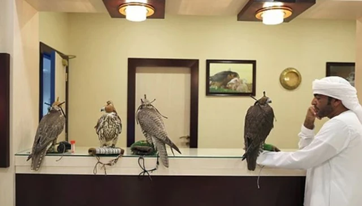 Lo&agrave;i chim đắt đỏ bậc nhất thế giới gi&aacute; nửa tỷ/con, đi m&aacute;y bay như &ldquo;qu&yacute; tộc&rdquo;- Ảnh 1.