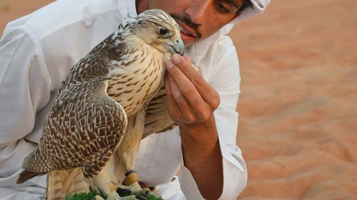 Lo&agrave;i chim đắt đỏ bậc nhất thế giới gi&aacute; nửa tỷ/con, đi m&aacute;y bay như &ldquo;qu&yacute; tộc&rdquo;- Ảnh 2.