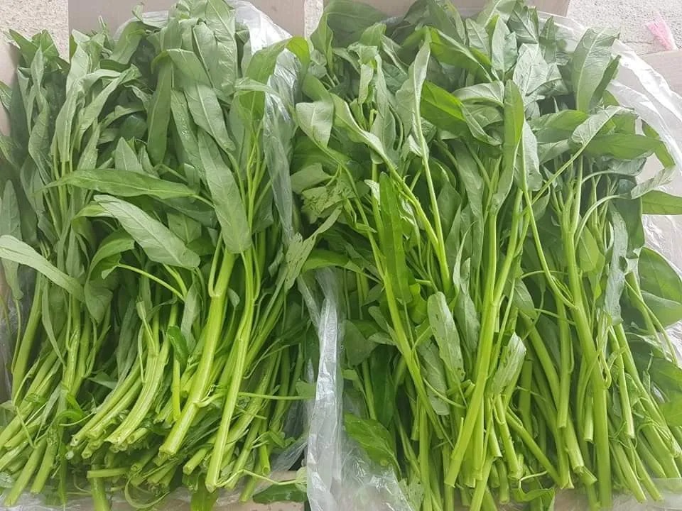 5 loại rau n&ecirc;n mua ngay l&uacute;c n&agrave;y: Gi&aacute; rẻ, &iacute;t calo, chợ Việt n&agrave;o cũng b&aacute;n- Ảnh 3.
