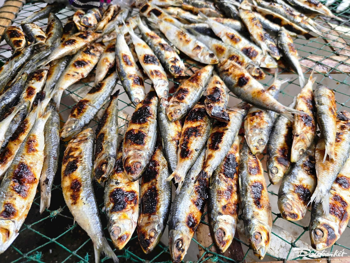 Rẻ hơn hẳn c&aacute; hồi, đ&acirc;y l&agrave; loại c&aacute; được Mỹ đ&aacute;nh gi&aacute; "tốt nhất thế giới", nhỏ nhưng cực gi&agrave;u omega-3: Người Việt rất hay ăn- Ảnh 1.