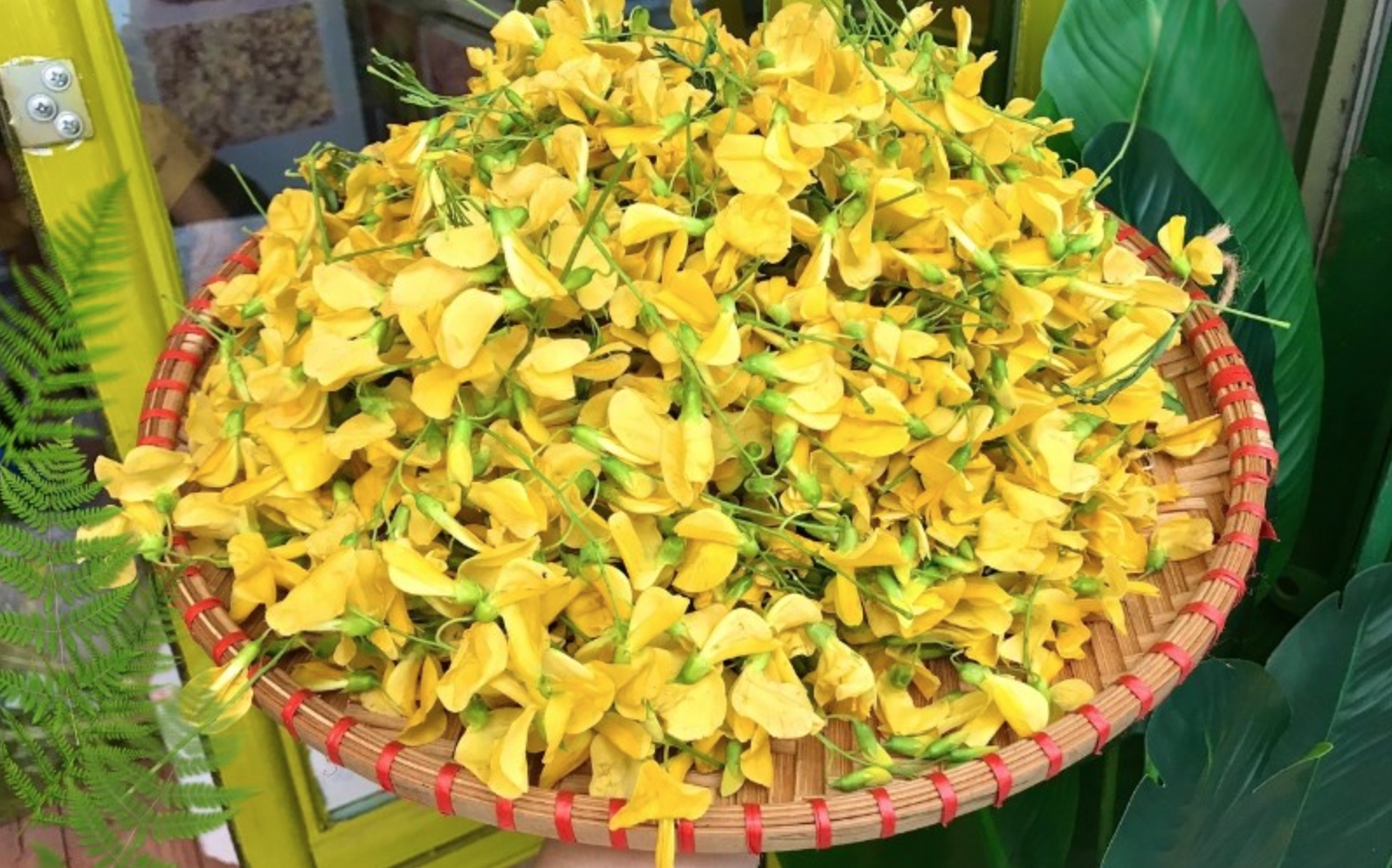 Không chỉ là thủ phủ trái cây, miền Tây còn sở hữu một "kho báu" ít người biết- Ảnh 2. Không chỉ là thủ phủ trái cây, miền Tây còn sở hữu một "kho báu" ít người biết- Ảnh 2.