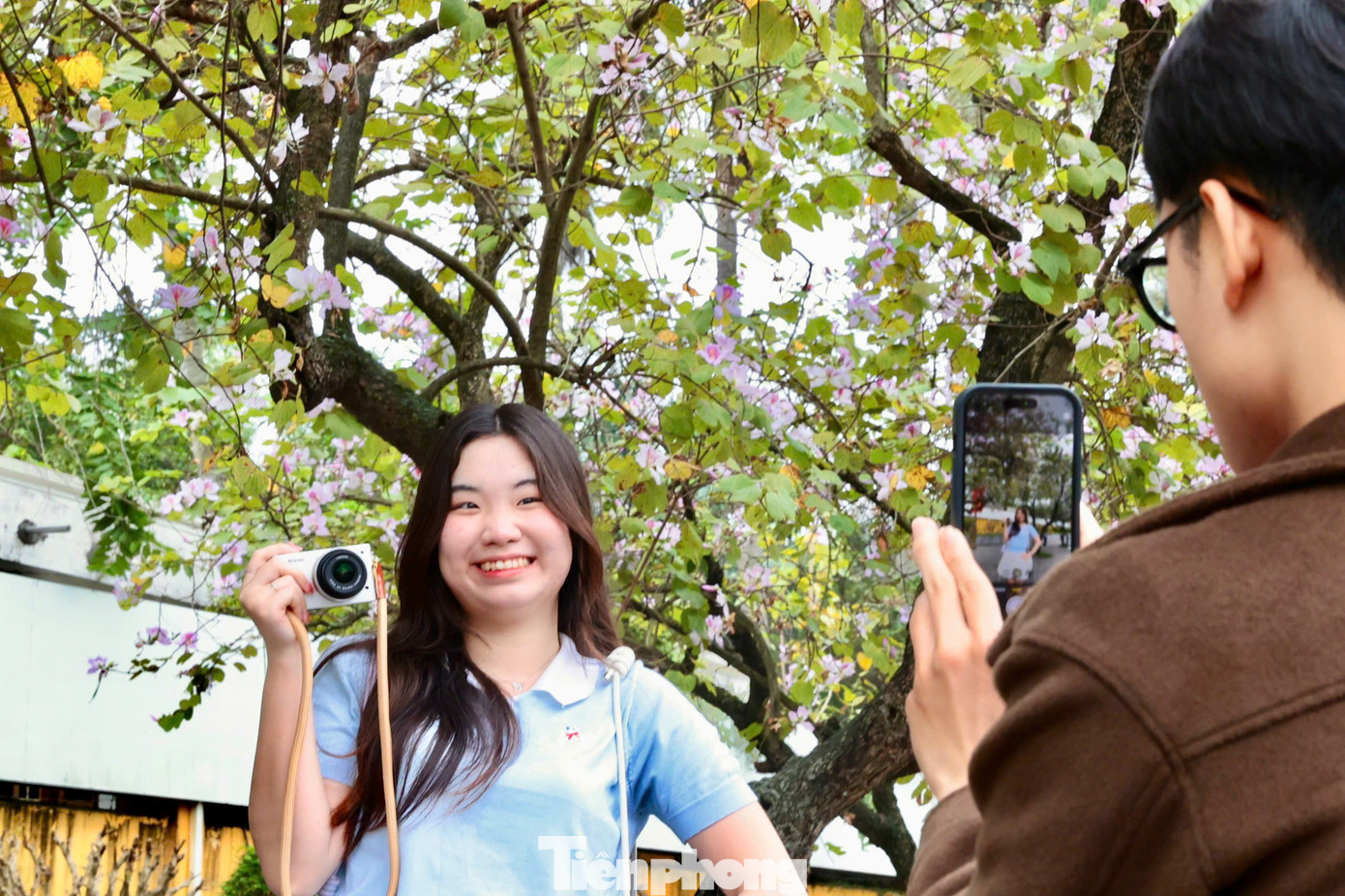 H&agrave; Nội xao xuyến m&ugrave;a hoa ban t&iacute;m, phong linh nhuộm v&agrave;ng g&oacute;c phố- Ảnh 7.