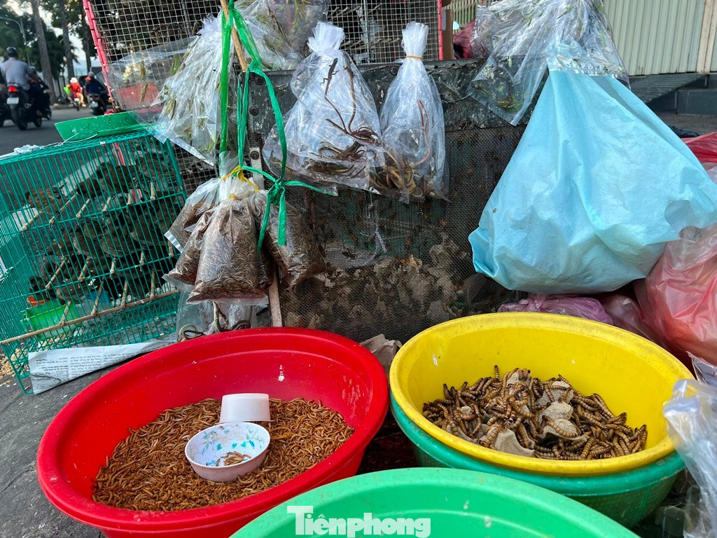 Lạ l&ugrave;ng những phi&ecirc;n chợ &lsquo;kh&ocirc;ng giống ai&rsquo; ở TPHCM- Ảnh 4.