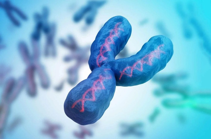 Nam giới đang mất dần nhiễm sắc thể Y- Ảnh 1.