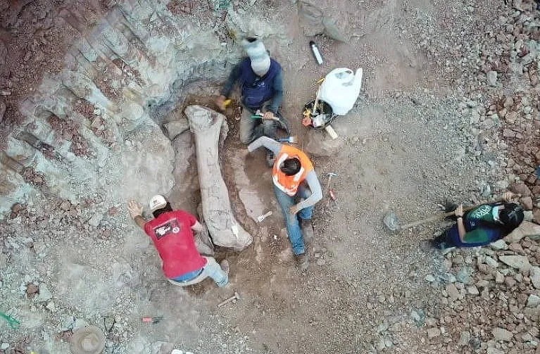 Qu&aacute;i vật d&agrave;i 20 m "trỗi dậy" giữa c&ocirc;ng tr&igrave;nh đường sắt- Ảnh 1.