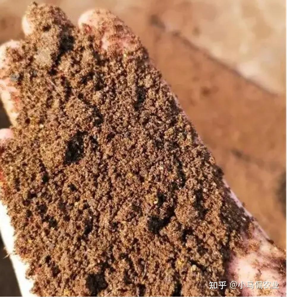 S&acirc;n 60m&sup2; giữa phố trồng h&agrave;ng trăm loại rau: Cuộc sống hưu tr&iacute; khiến nhiều người ước ao v&igrave; mỗi ng&agrave;y ăn một loại rau kh&aacute;c nhau- Ảnh 6.