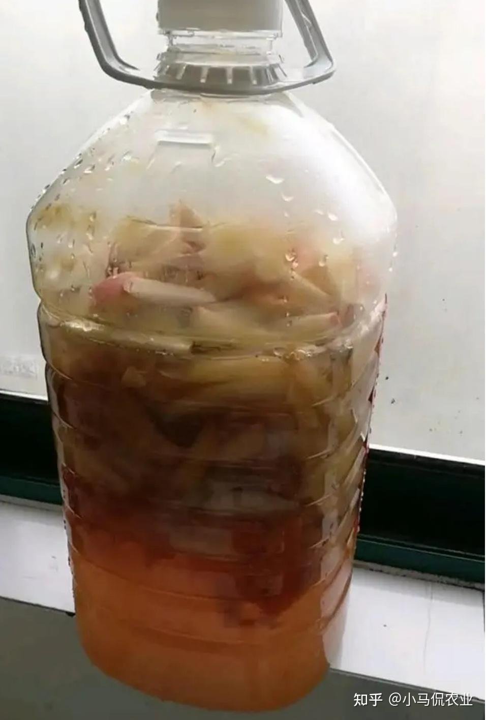 S&acirc;n 60m&sup2; giữa phố trồng h&agrave;ng trăm loại rau: Cuộc sống hưu tr&iacute; khiến nhiều người ước ao v&igrave; mỗi ng&agrave;y ăn một loại rau kh&aacute;c nhau- Ảnh 7.