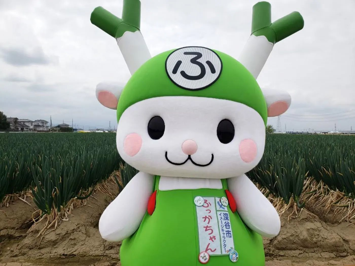 Nhật Bản đ&uacute;ng l&agrave; kh&ocirc;ng giống ai: Thứ cả thế giới b&igrave;nh thường th&igrave; v&agrave;o tay họ lại th&agrave;nh "qu&aacute;i dị" thế n&agrave;y đ&acirc;y- Ảnh 4.