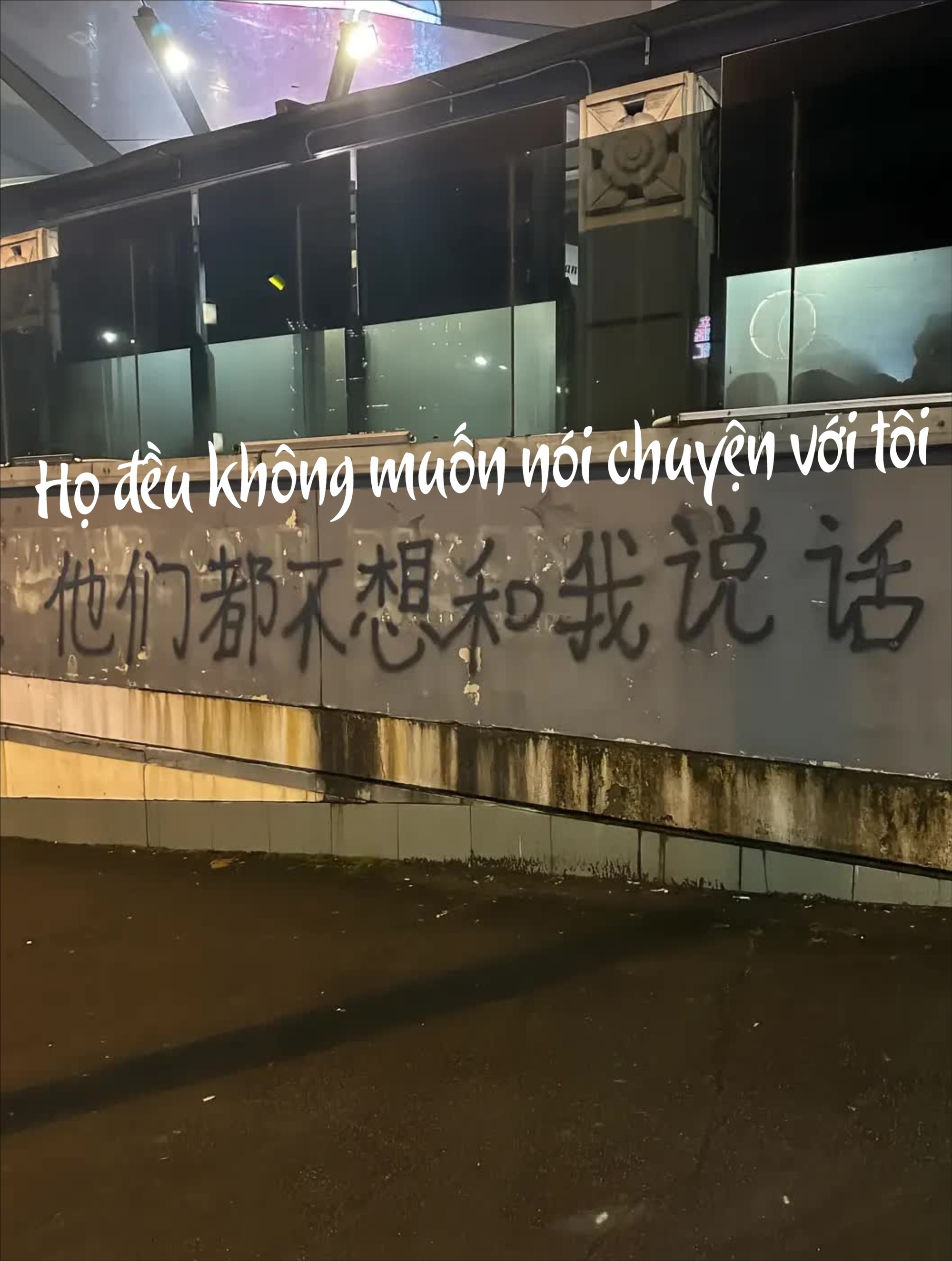 D&ograve;ng chữ tr&ecirc;n bức tường ở Sydney l&agrave;m h&agrave;ng triệu du học sinh "vụn vỡ": H&oacute;a ra một m&igrave;nh mới l&agrave; b&agrave;i học đắt gi&aacute; nhất!- Ảnh 2.