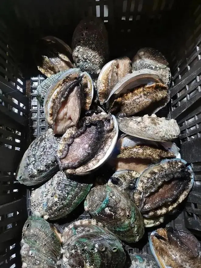 Đưa 1 thứ cho con mang tới trường, b&agrave; mẹ bỗng bị chỉ tr&iacute;ch "l&agrave;m m&agrave;u", "khoe mẽ", bức x&uacute;c đến nỗi phải chuyển trường!- Ảnh 1.