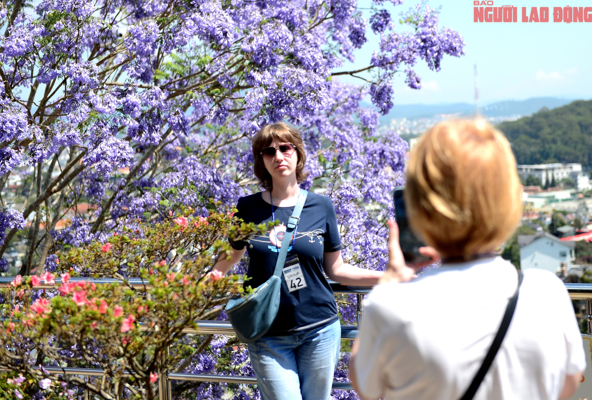CLIP: Phượng t&iacute;m v&agrave;o m&ugrave;a, Đ&agrave; Lạt mộng mơ- Ảnh 12.