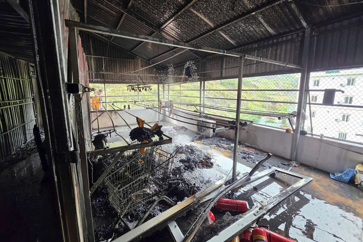 Ch&aacute;y tầng 5 nh&agrave; nghỉ, 95 kh&aacute;ch nước ngo&agrave;i tho&aacute;t nạn- Ảnh 3.