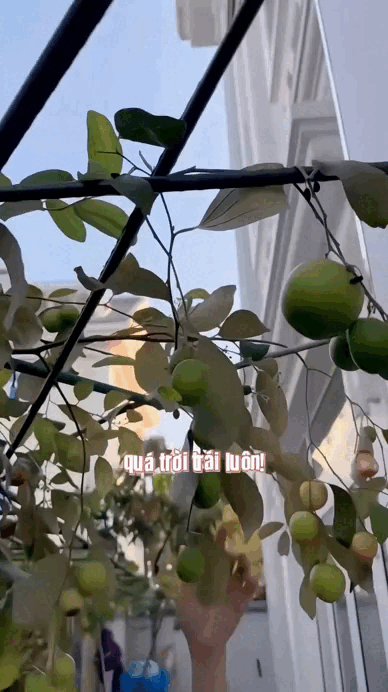 Th&uacute; vui trong biệt thự 20 tỷ của "nữ ho&agrave;ng d&acirc;n ca" Vbiz- Ảnh 4.