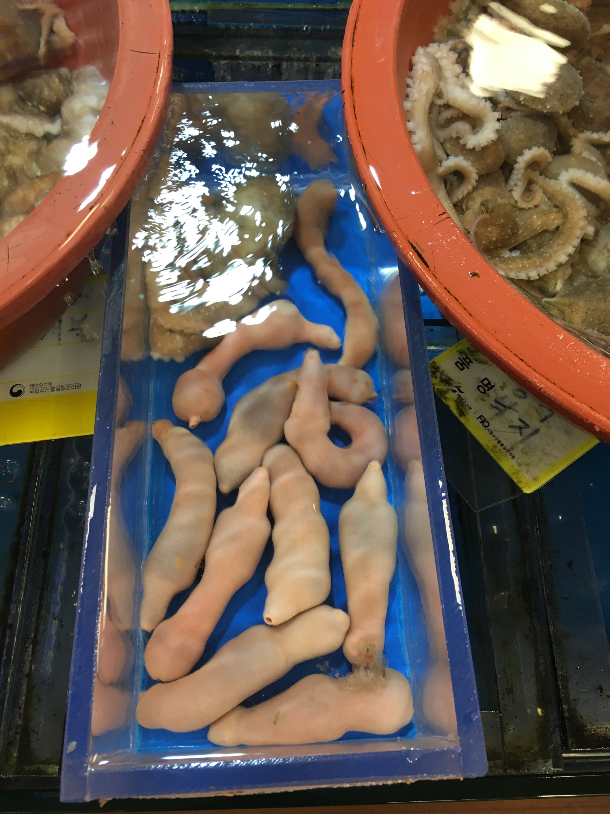 Cố chấp ăn đặc sản giun sống ở H&agrave;n Quốc, kh&aacute;ch Việt r&ugrave;ng m&igrave;nh d&ugrave; chỉ mới ăn 1 miếng- Ảnh 1.