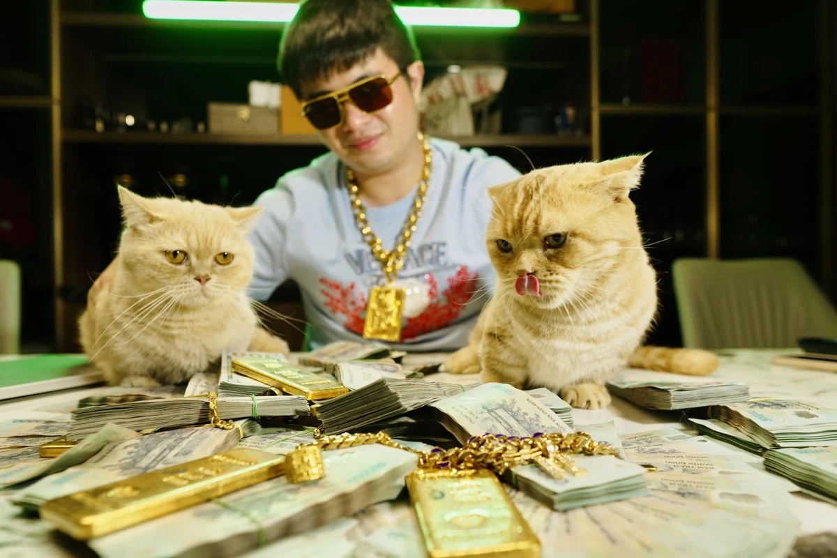 Cận cảnh khối t&agrave;i sản g&acirc;y cho&aacute;ng của Mr Pips: 41 &ocirc; t&ocirc; hạng sang, 45 sổ đỏ, hơn 1.000 miếng v&agrave;ng,... bị k&ecirc; bi&ecirc;n- Ảnh 1.