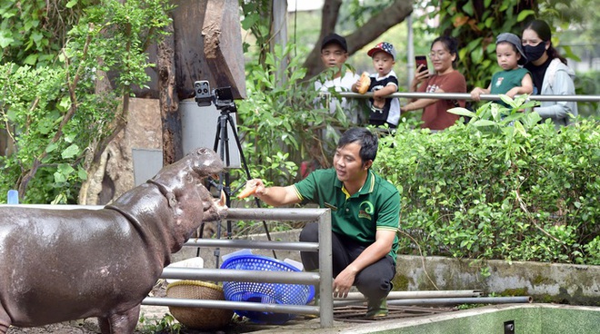Sở th&uacute; l&acirc;u đời nhất Việt Nam bất ngờ &ldquo;hẹn&rdquo; kh&aacute;ch v&agrave;o 9h s&aacute;ng Chủ nhật tuần n&agrave;y- Ảnh 10.