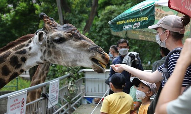 Sở th&uacute; l&acirc;u đời nhất Việt Nam bất ngờ &ldquo;hẹn&rdquo; kh&aacute;ch v&agrave;o 9h s&aacute;ng Chủ nhật tuần n&agrave;y- Ảnh 9.