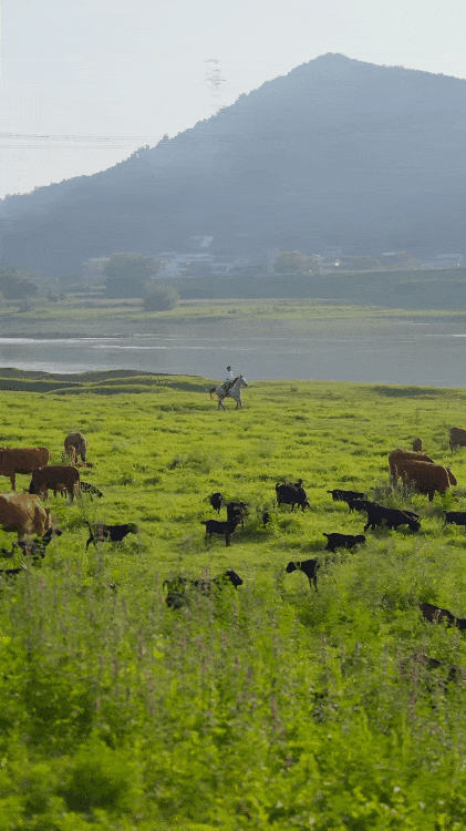 30 tuổi tự x&acirc;y &ldquo;nh&agrave; dưỡng l&atilde;o&rdquo; cho bố mẹ: C&acirc;u chuyện khiến nhiều người nghĩ lại về tiền bạc v&agrave; tuổi gi&agrave;- Ảnh 18.