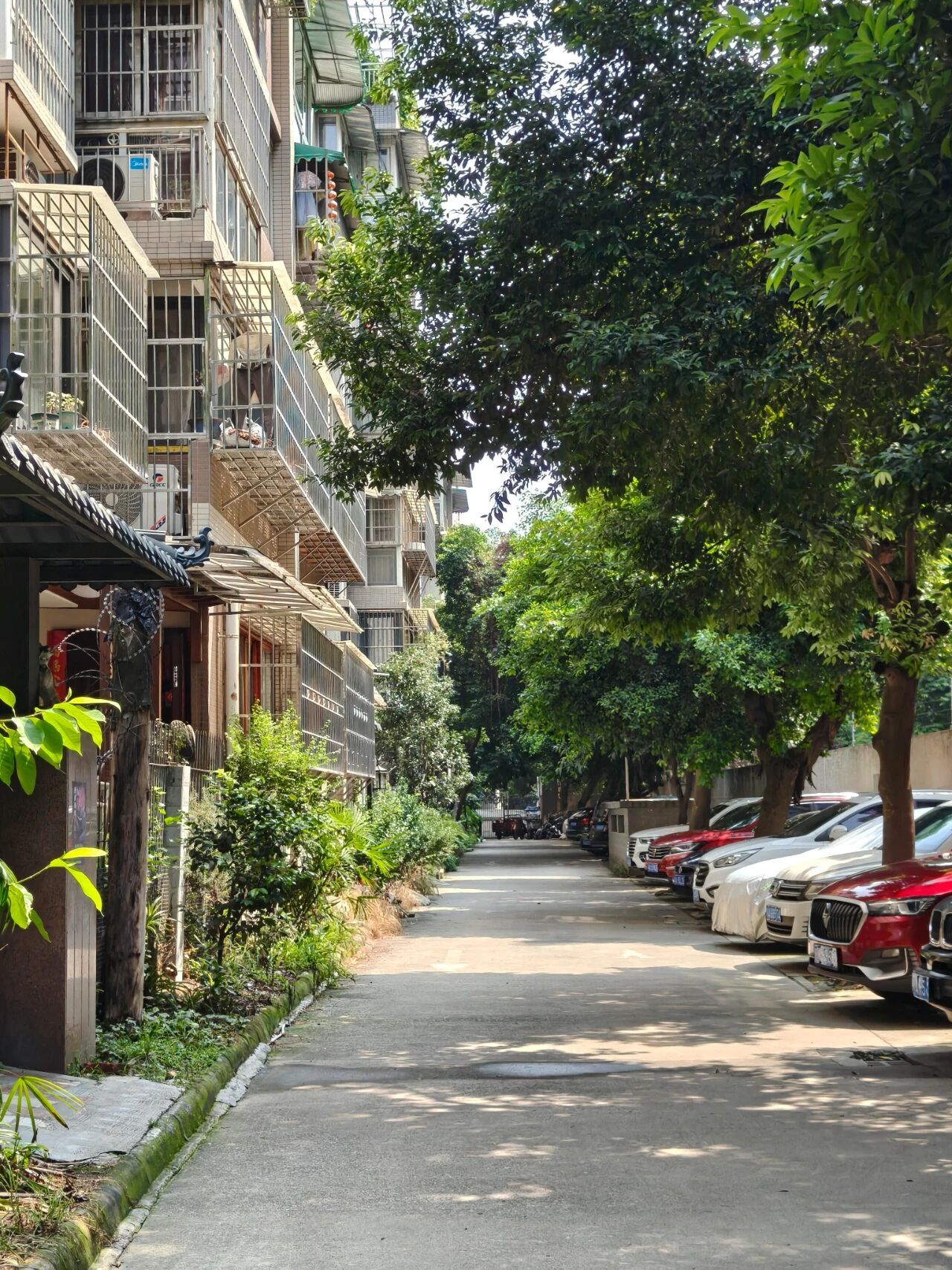 T&ocirc;i rời căn hộ c&oacute; thang m&aacute;y để về sống ở khu phố cũ: Sau 1 năm, t&ocirc;i chỉ tiếc đ&atilde; chuyển đi qu&aacute; muộn- Ảnh 4.