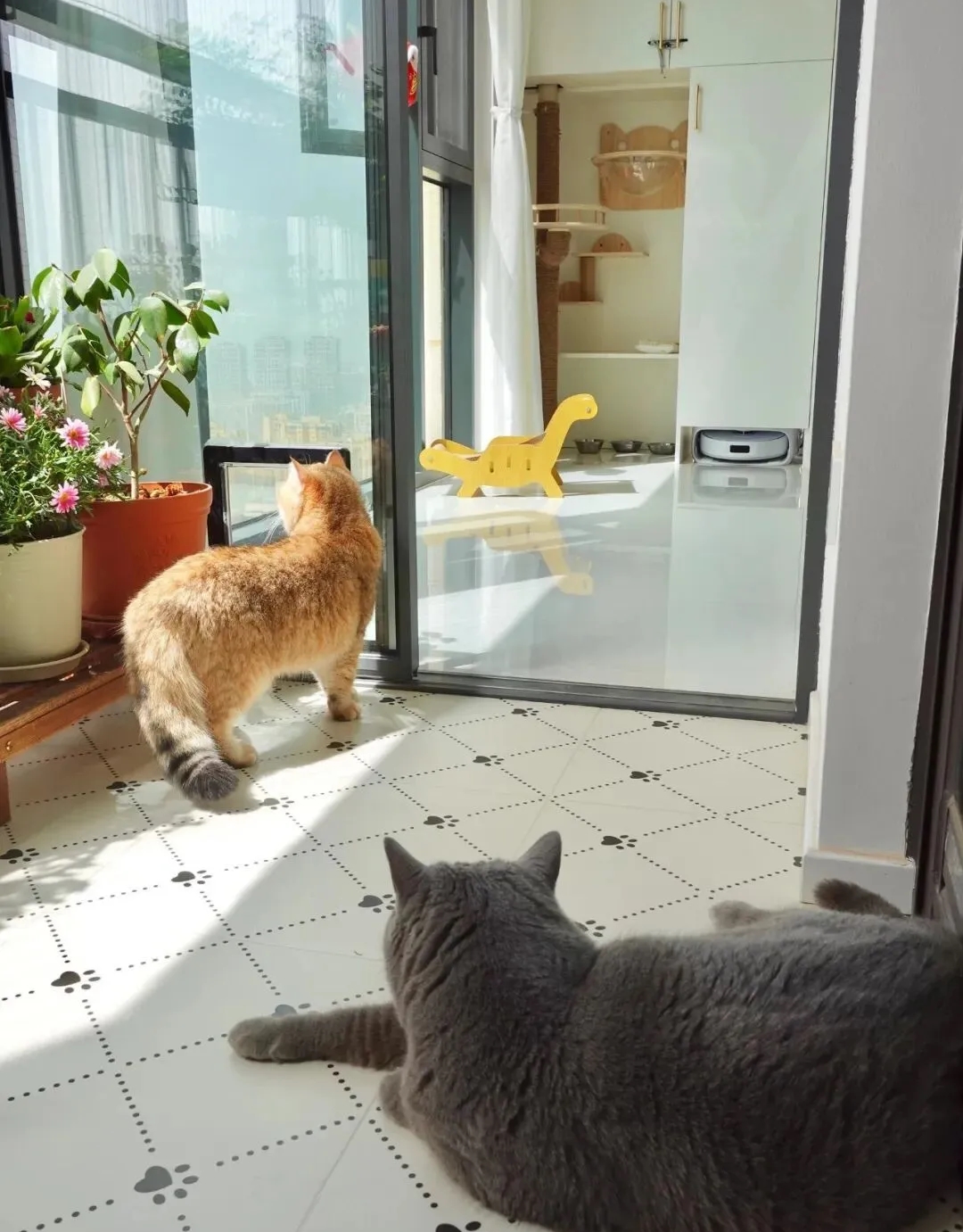 Cải tạo ban c&ocirc;ng 8m2 qu&aacute; vi diệu, c&aacute;i kết khiến h&agrave;ng x&oacute;m cũng muốn "bắt chước"- Ảnh 5.