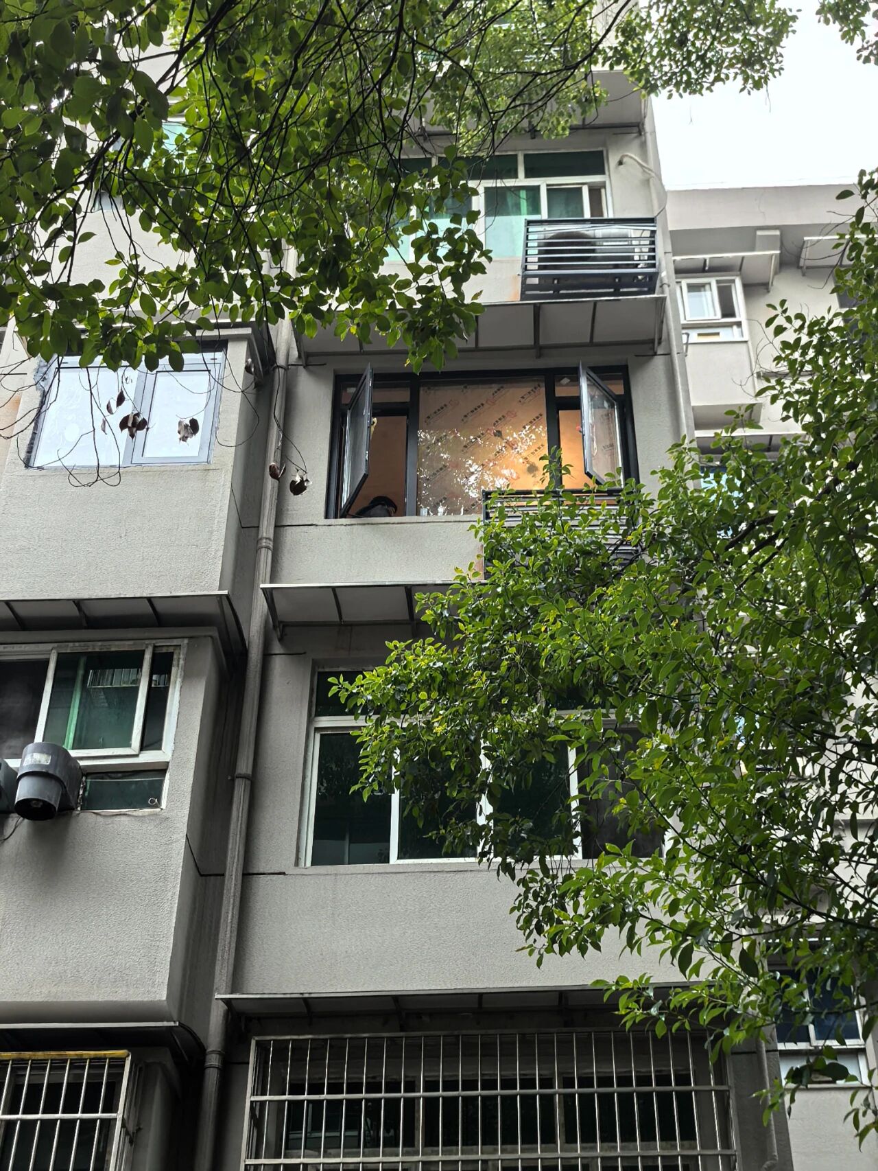 T&ocirc;i rời căn hộ c&oacute; thang m&aacute;y để về sống ở khu phố cũ: Sau 1 năm, t&ocirc;i chỉ tiếc đ&atilde; chuyển đi qu&aacute; muộn- Ảnh 1.